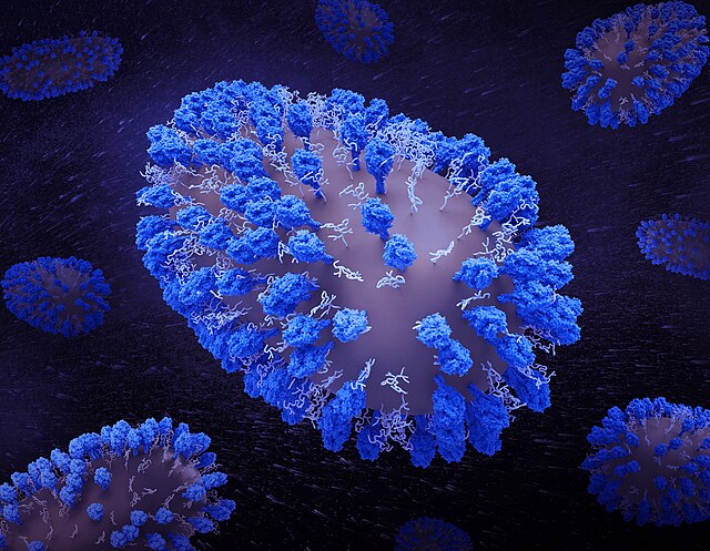 Respiratory Syncytial Virus (RSV)
