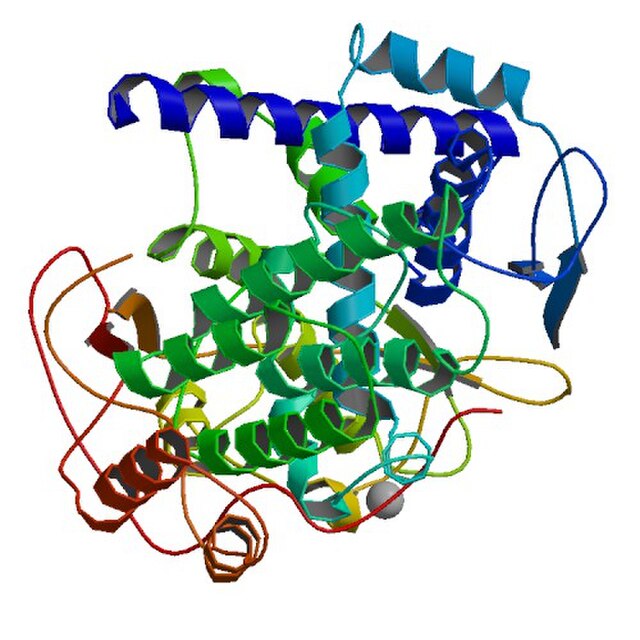 RNA-binding protein in the virions of influenzavirus A (Nucleoprotein of Influenza A)