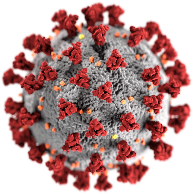 SARS-CoV-2_without_background